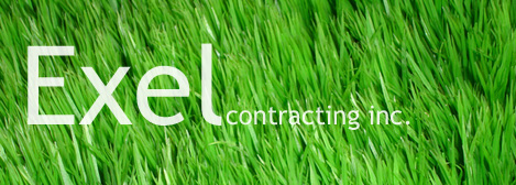 Exel Banner 1